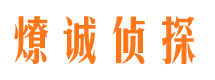 田林市调查公司